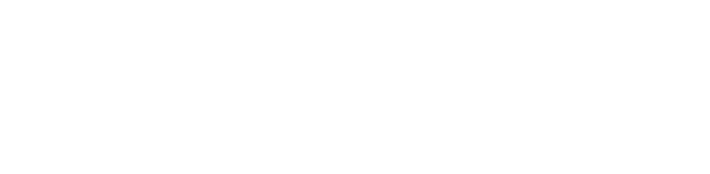 Regional Investigation & Security Services Pte Ltd